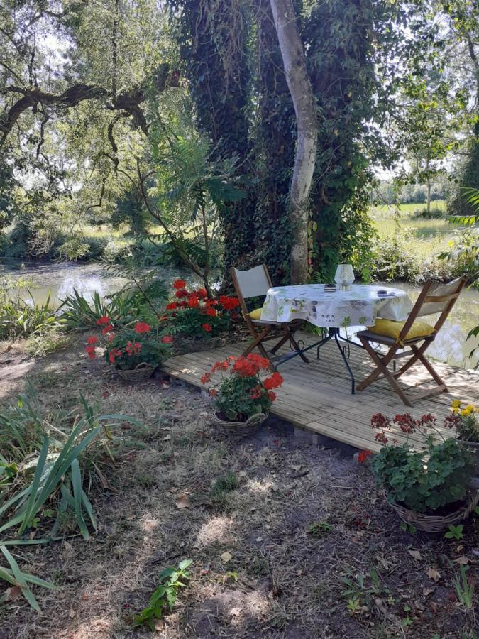 Gite " Jardin Peyrona" Visite Zoo Beauval Et Chateaux De Loire Beaulieu-lès-Loches Exterior foto
